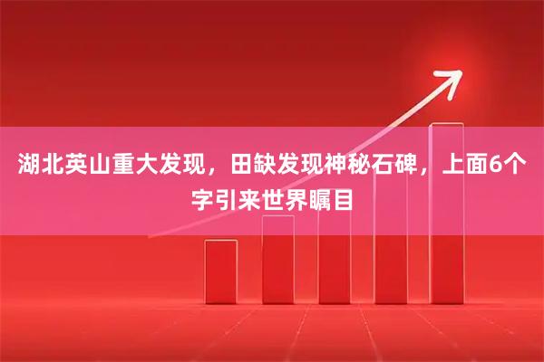 湖北英山重大发现，田缺发现神秘石碑，上面6个字引来世界瞩目