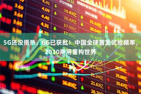 5G还没捂热，6G已获批！中国全球首发试验频率，2030商用重构世界