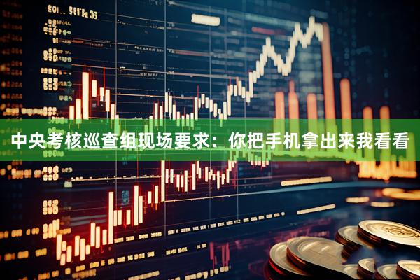 中央考核巡查组现场要求:你把手机拿出来我看看